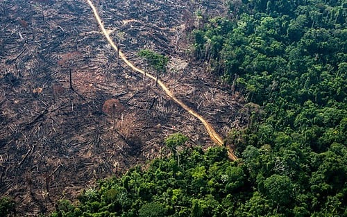 L’Amazònia en flames: incendis, sequeres i crim organitzat amenacen el pulmó del planeta