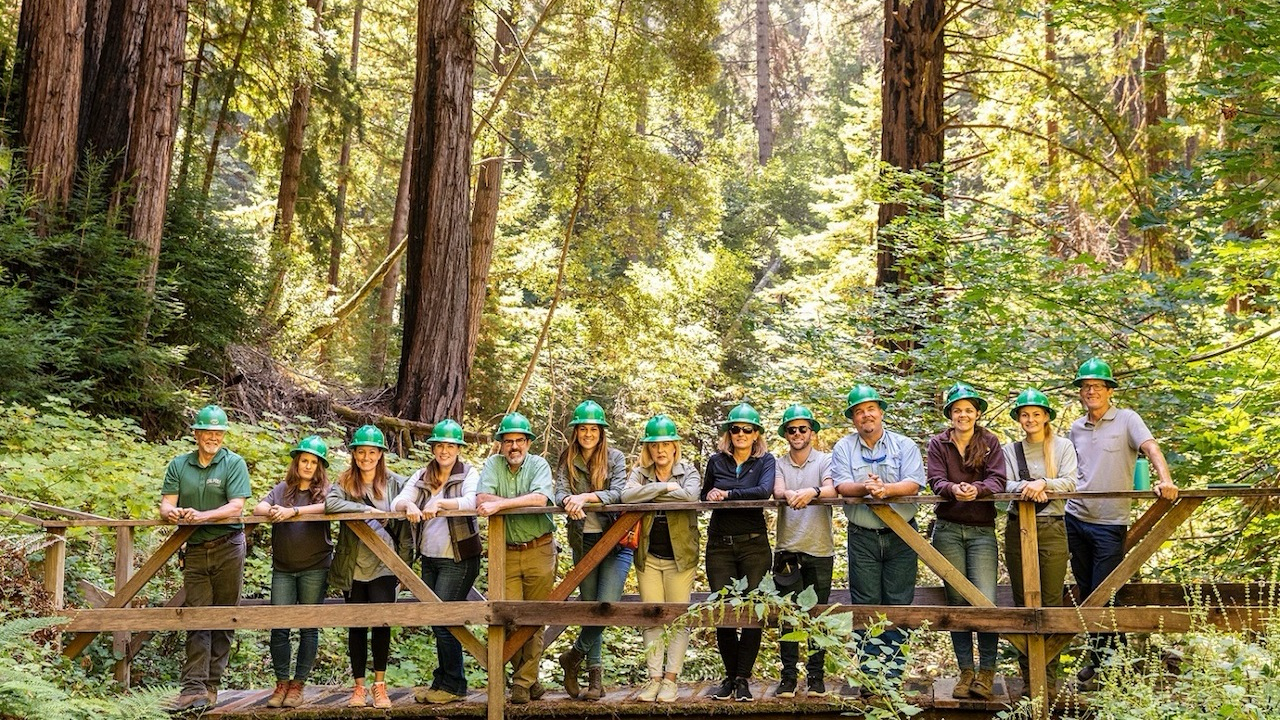 España lanza “bosques para el futuro”: un proyecto ambicioso para revitalizar el paisaje natural